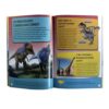 Tudo Sobre Dinossauros - Pop - Image 3
