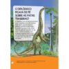Tudo Sobre Dinossauros - Pop - Image 4