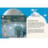 Literatura Infantojuvenil - Concertos e Óperas - O Lago dos Cisnes - Image 2